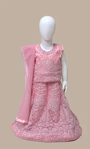 Salmon Pink Embroidered Choli Set