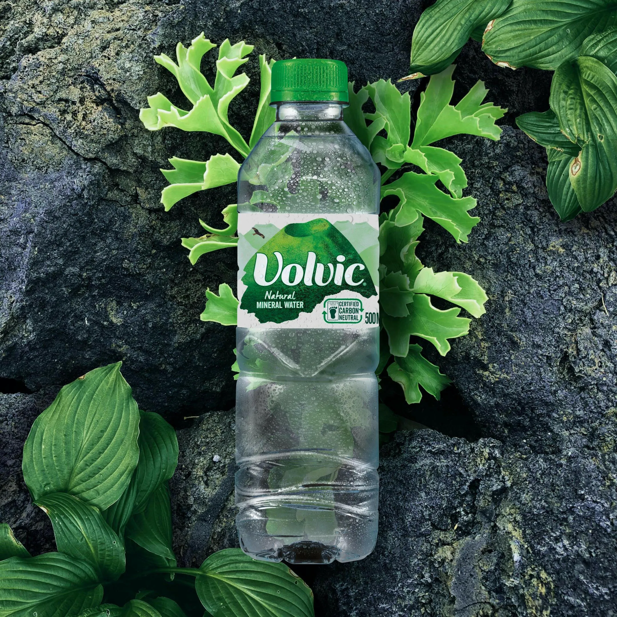 Volvic Natural Mineral Water 500ml Bottle